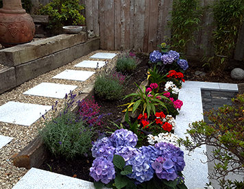 Colourful summer planting